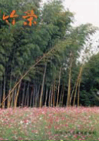 竹栄