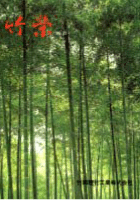 竹栄