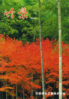 竹栄