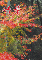 竹栄