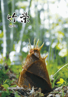 竹栄