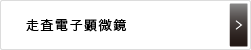 走査電子顕微鏡